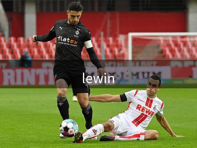 了解lewin